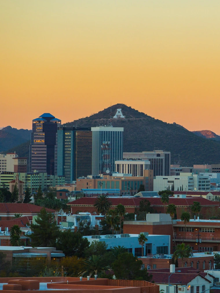 UA Wellness Sunset as Profile Picuture